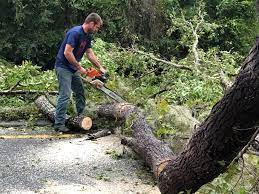 Mulching Services in El Campo, TX